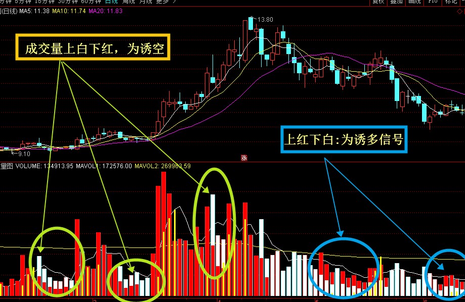 一位资深操盘手彻底看懂“新成交量法则”，从亏损严重到财富自由