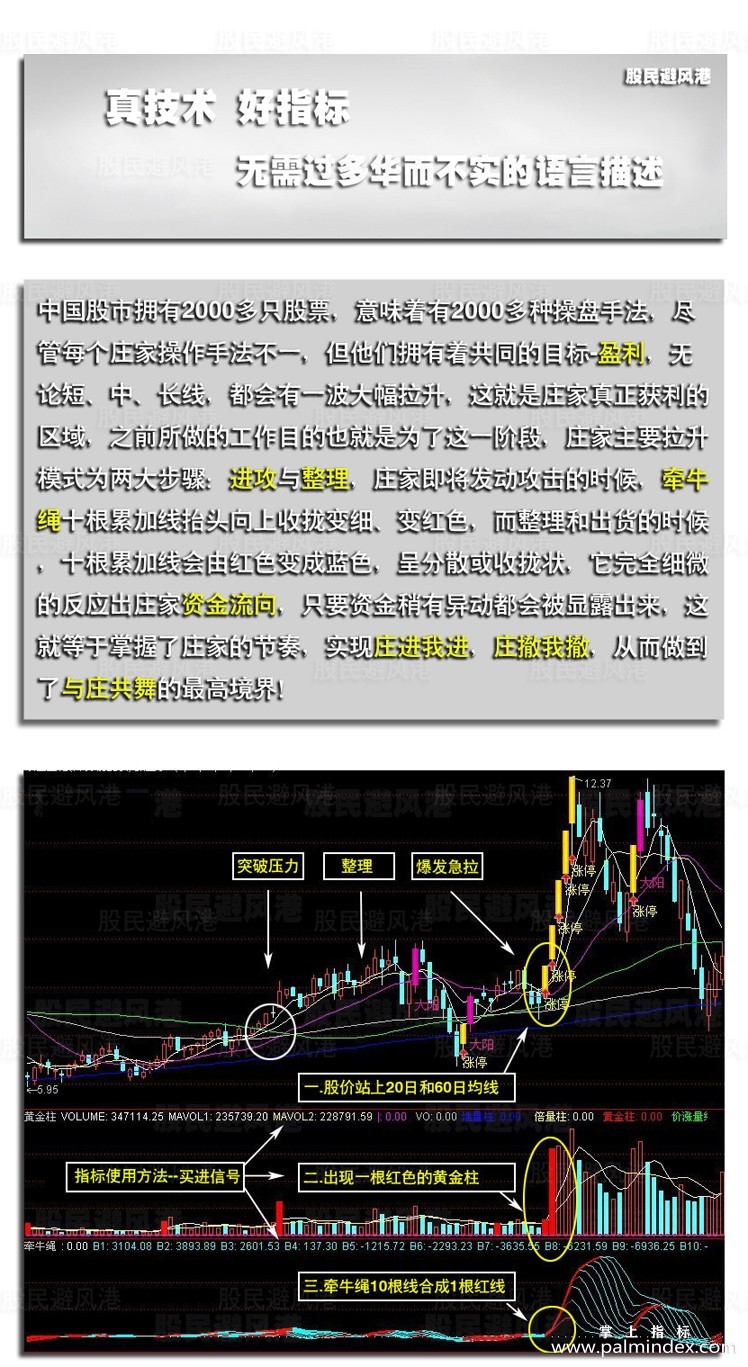 【通达信指标】短线抓涨停-主副图选股指标公式