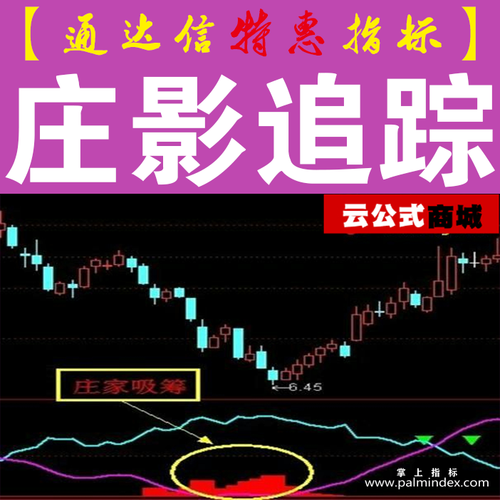 【通达信指标】庄影追踪-副图选股指标公式（手机+电脑）