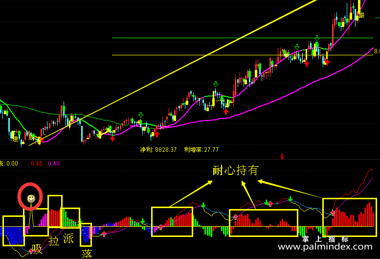【通达信指标】中线抄底-吸拉派落高级MACD副图指标公式