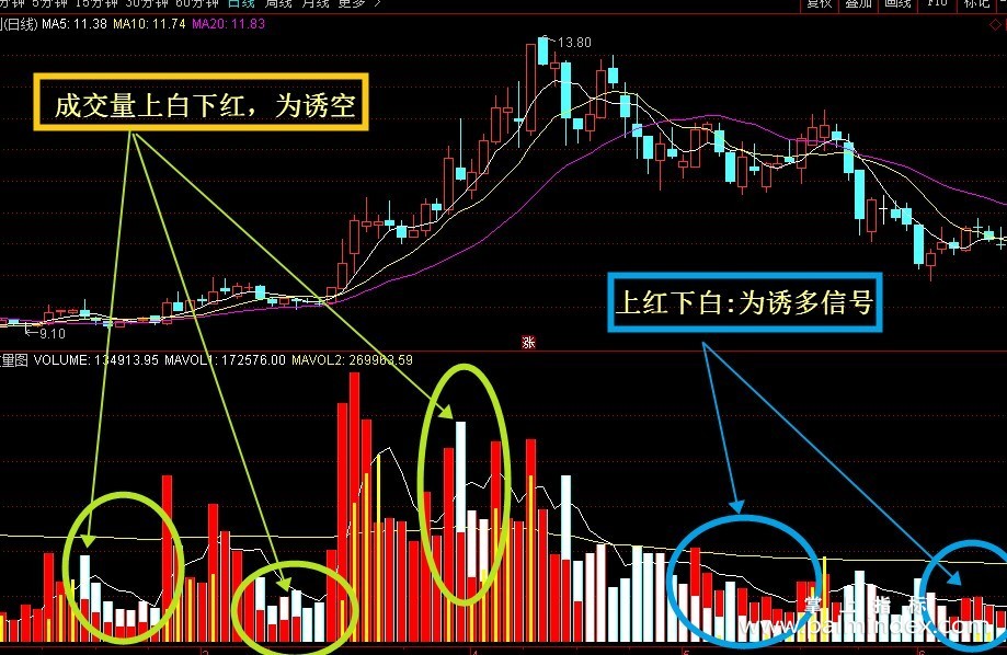 【通达信经典战法】一位资深操盘手彻底看懂“新成交量法则”，从亏损严重到财富自由（Z046）