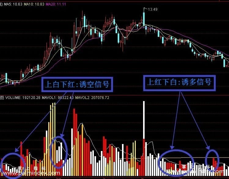 【通达信经典战法】一位资深操盘手彻底看懂“新成交量法则”，从亏损严重到财富自由（Z046）