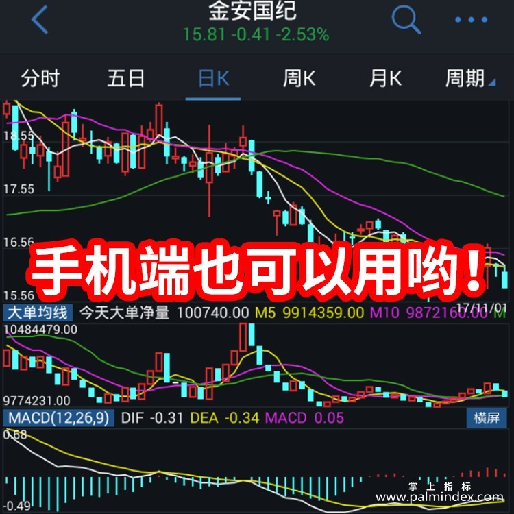 【通达信指标】大单均线-资金量能型副图指标公式