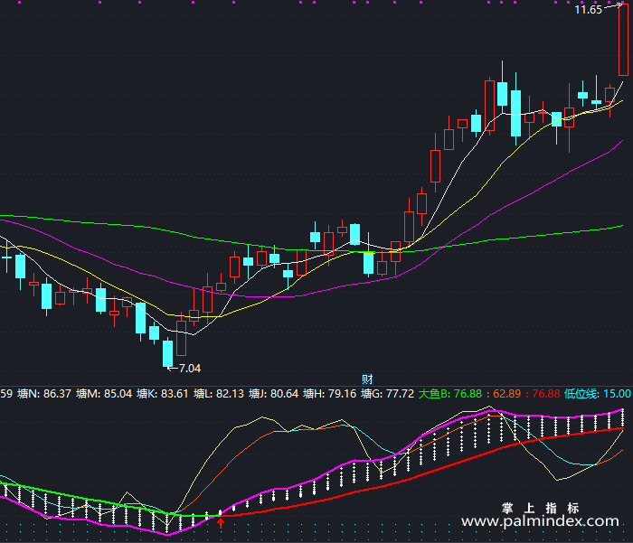 【通达信指标】双标钓鱼-副图指标公式