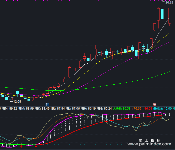 【通达信指标】双标钓鱼-副图指标公式