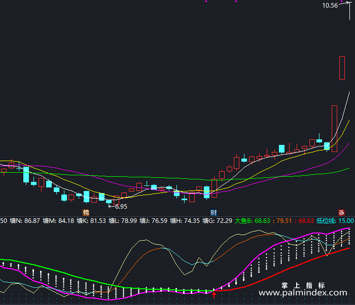 【通达信指标】双标钓鱼-副图指标公式