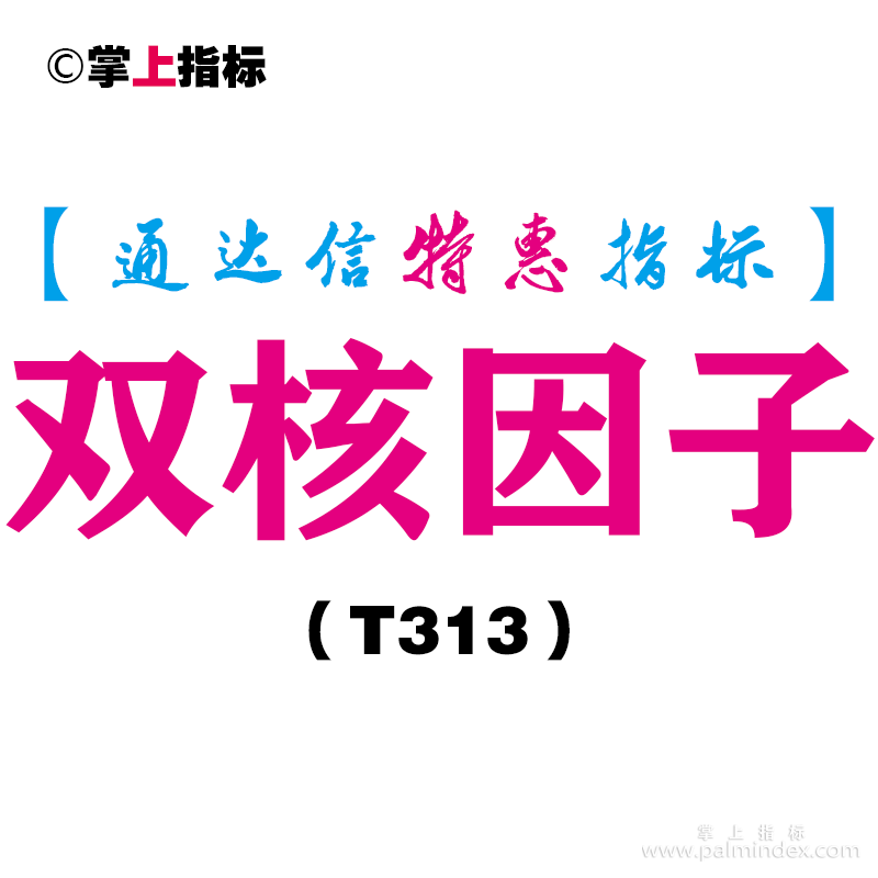 【通达信指标】双核因子-副图指标公式（T313）