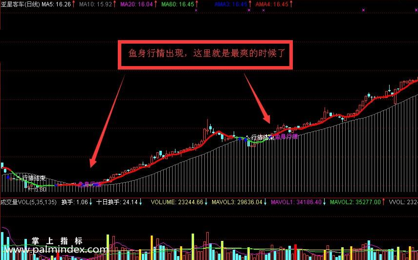 【通达信指标】鱼身行情-主图指标公式（手机+电脑）