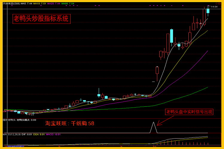 【通达信经典战法】一个18年的老股民，从30万炒到了600万，他只用了一种技巧，就是老鸭头。（Z089）