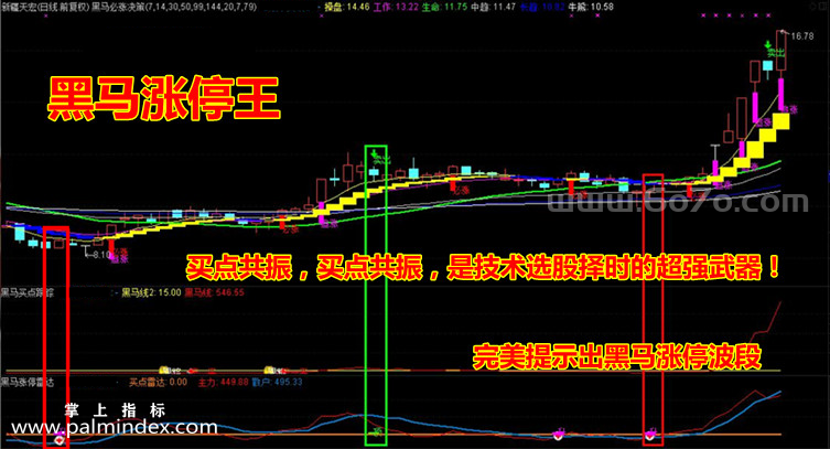 【通达信指标】黑马涨停王-主副图指标公式