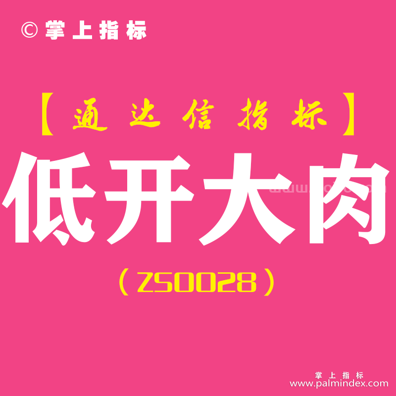 [ZS0028]低开大肉-通达信副图指标公式