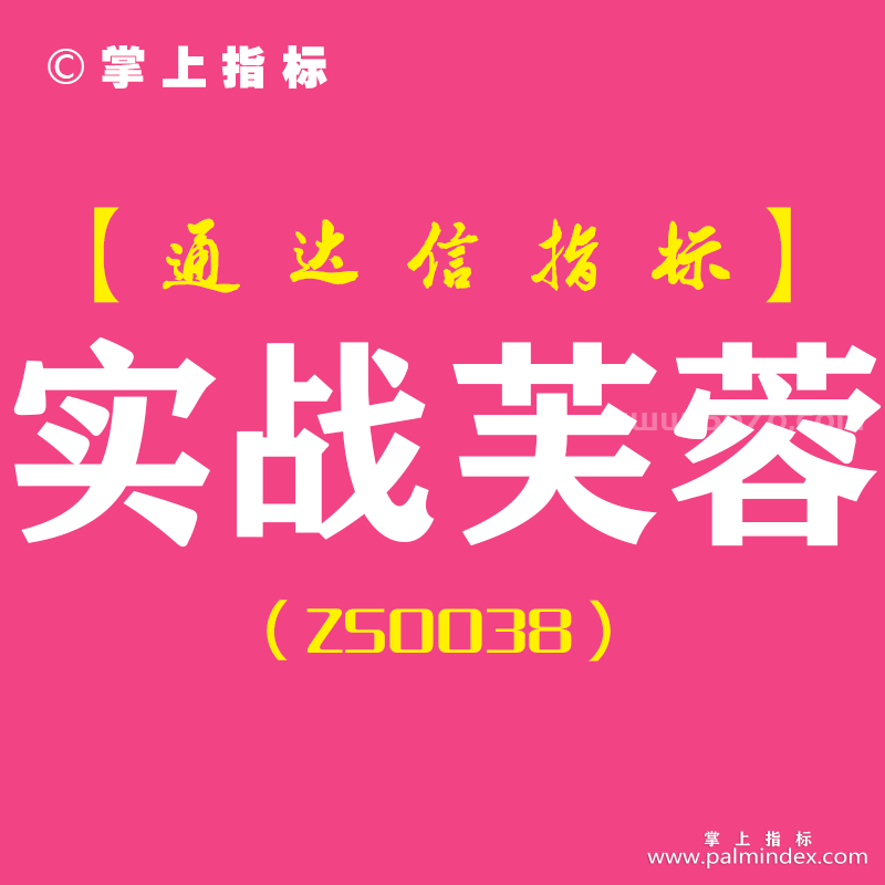 [ZS0038]实战芙蓉-通达信副主指标公式