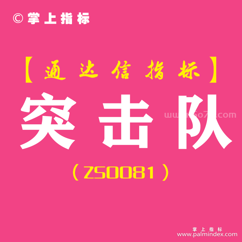 [ZS0081]突击队-通达信副图指标公式