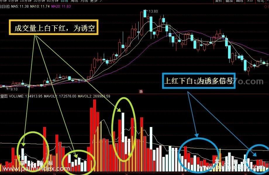 [ZS0109]新成交量-通达信副图指标公式