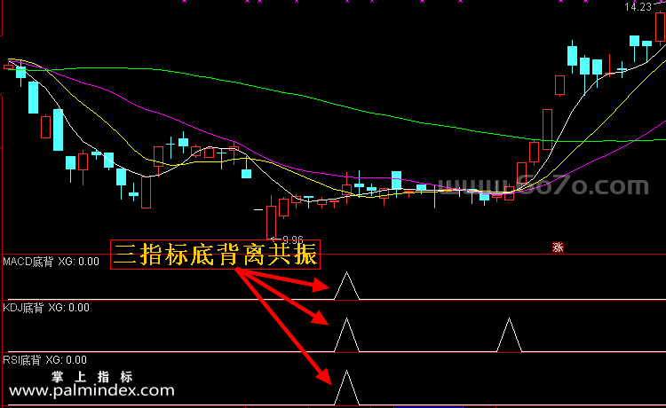 [ZS0139]底背离共振-通达信副图指标公式-MACD KDJ RSI共振预警