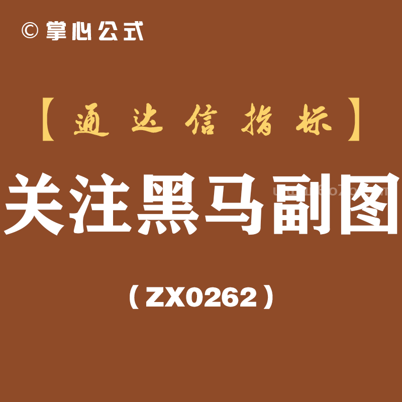 [ZX0262]关注黑马副图-通达信指标公式